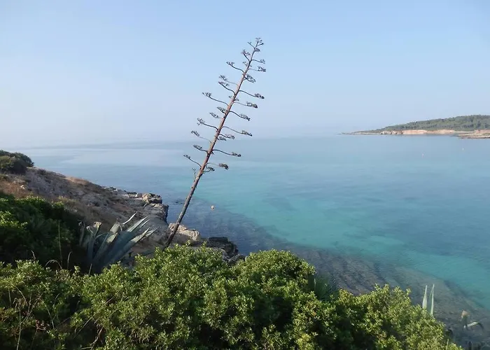 Stylish & Spacious Townhouse - Walk To & Town